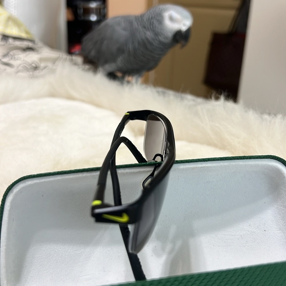 Nike Titanium “Frames” - image 1